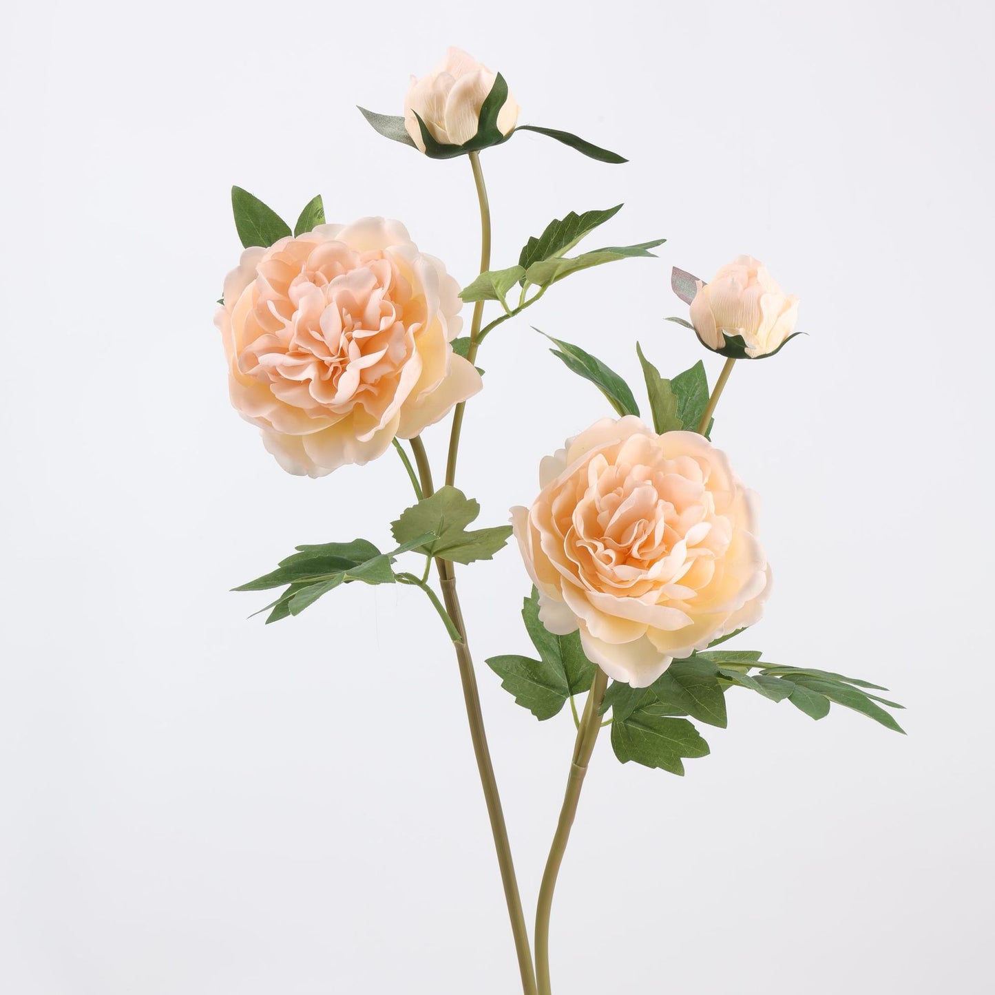 Real Touch Champagne Peony Stem — 1 Bloom, 29"