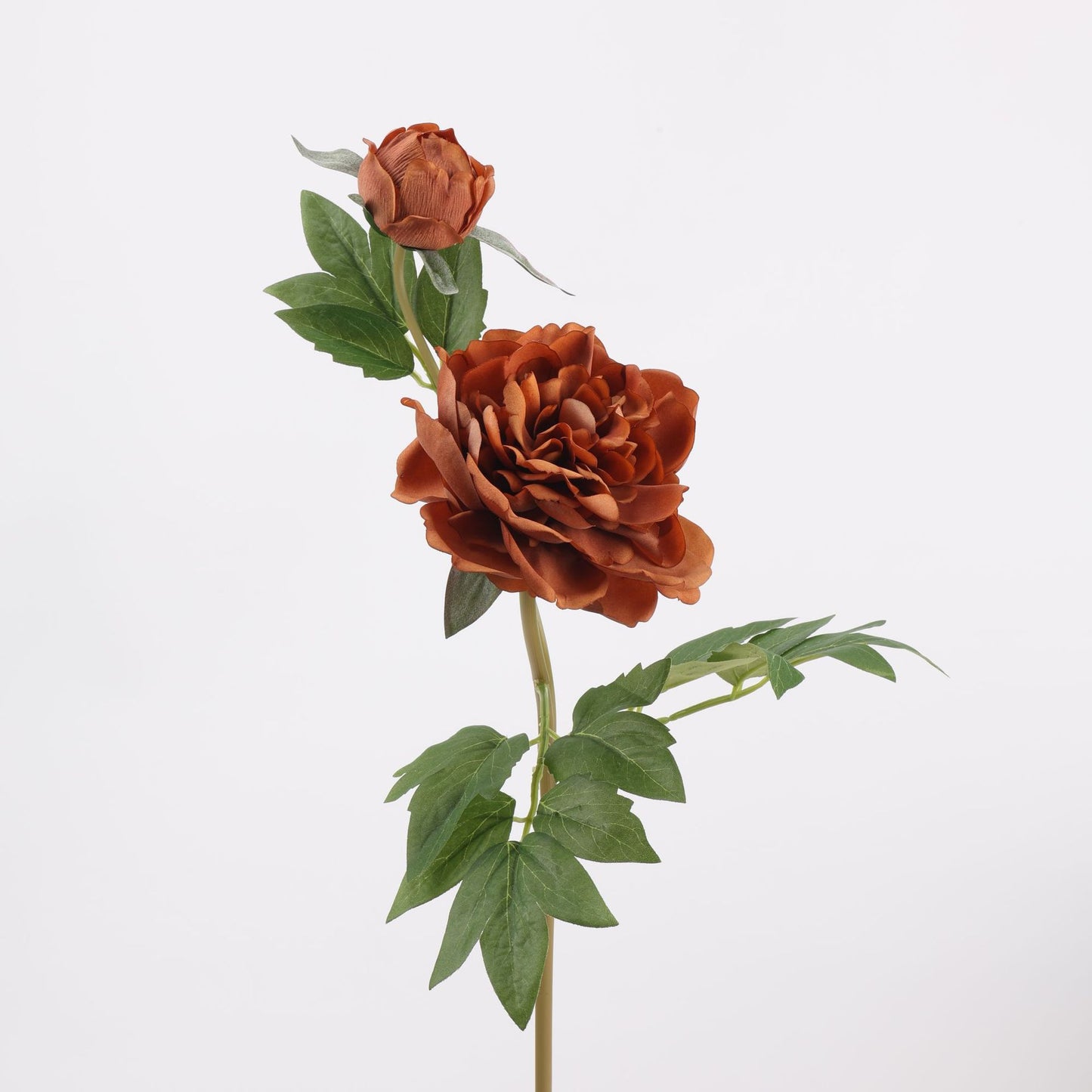 Real Touch Terracotta Peony Stem — 1 Bloom-29"