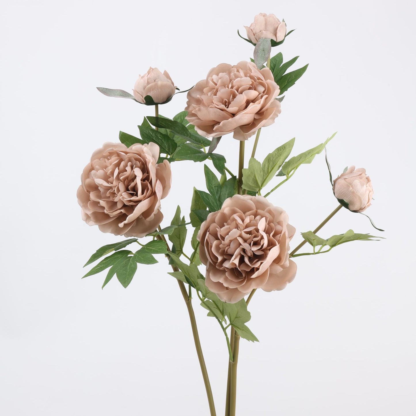 Real Touch Mocha Nude Peony Stem — 1 Blooms - 29"
