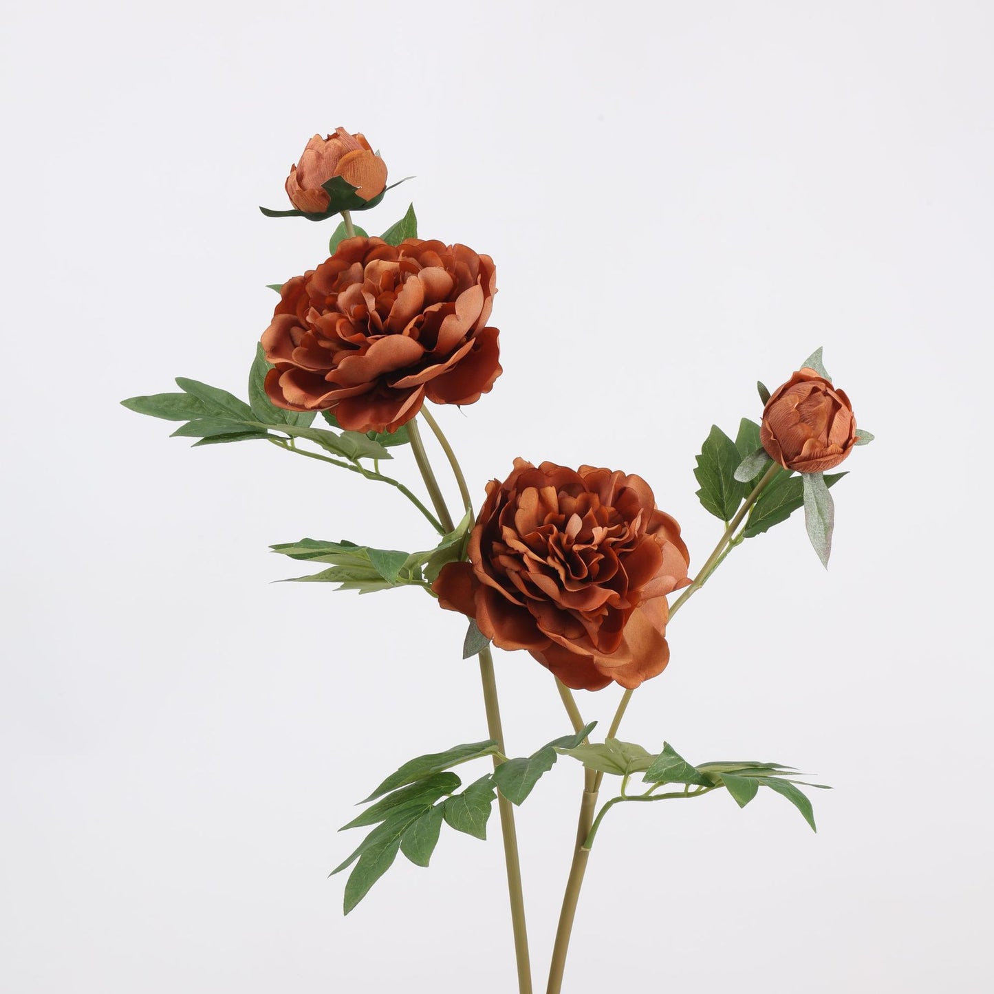 Real Touch Terracotta Peony Stem — 1 Bloom-29"