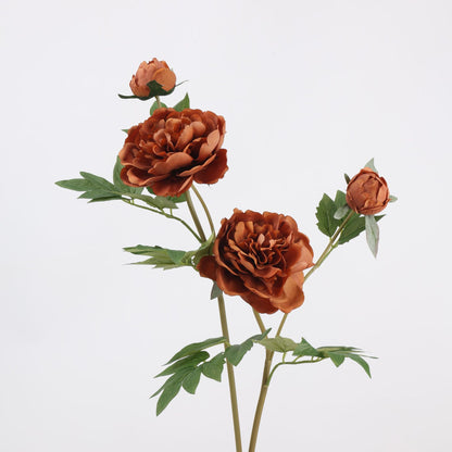 Real Touch Terracotta Peony Stem — 1 Bloom-29"
