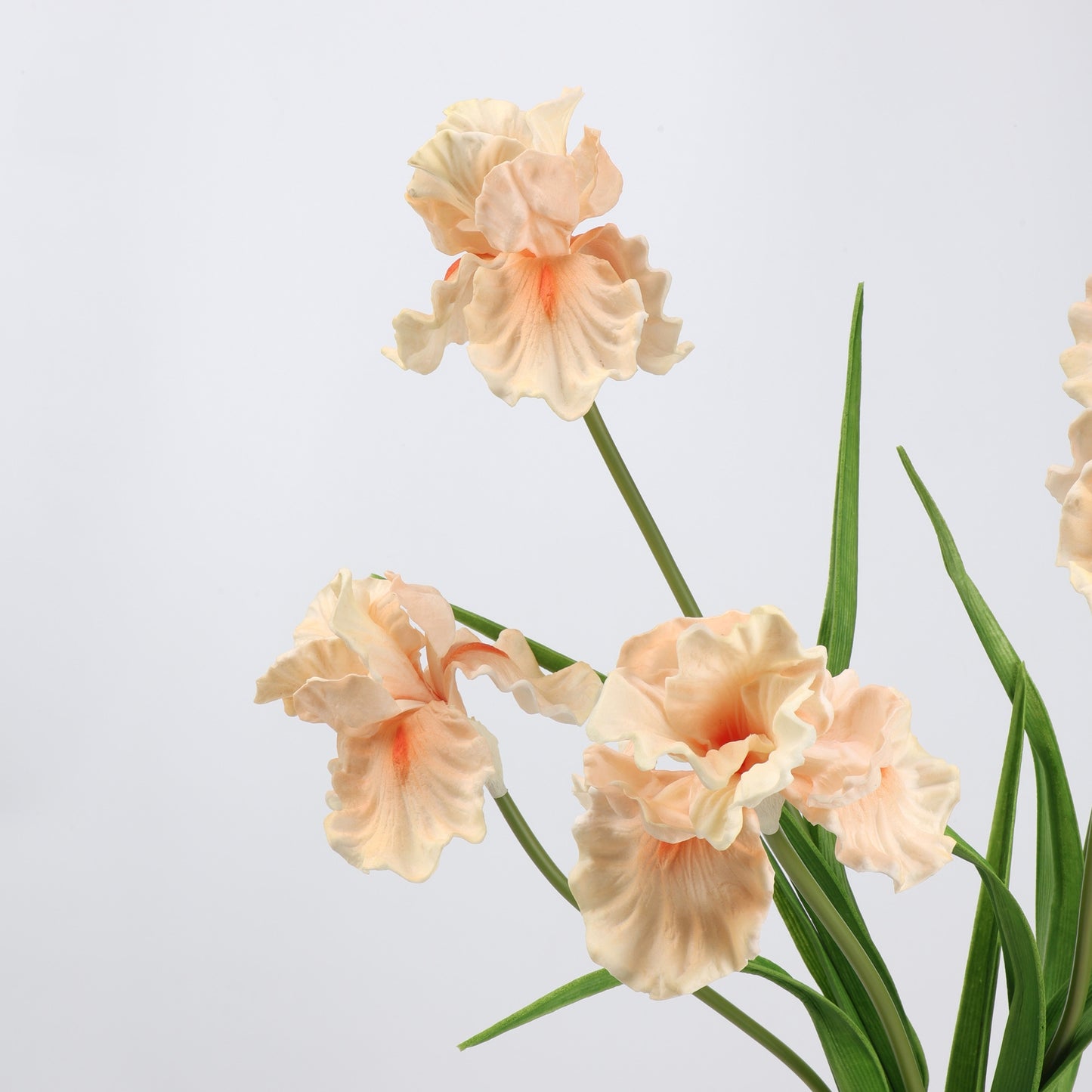 Real Touch Peach Iris Stem — 1 Bloom, 27"