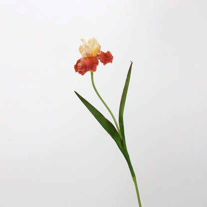 Real Touch Terracotta Iris Stem — 1 Bloom, 27"