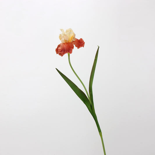 Real Touch Terracotta Iris Stem — 1 Bloom, 27"