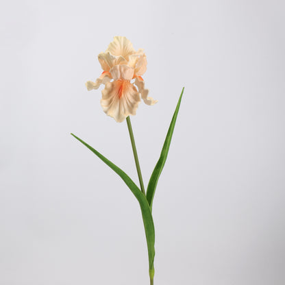 Real Touch Peach Iris Stem — 1 Bloom, 27"