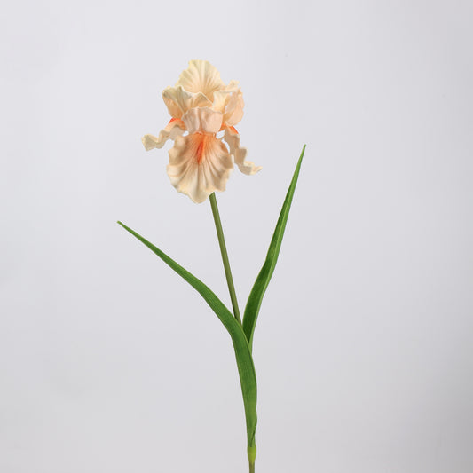 Real Touch Peach Iris Stem — 1 Bloom, 27"