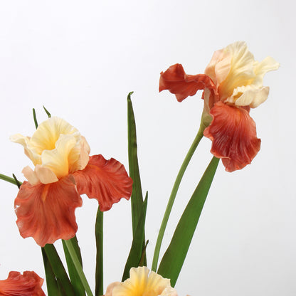 Real Touch Terracotta Iris Stem — 1 Bloom, 27"