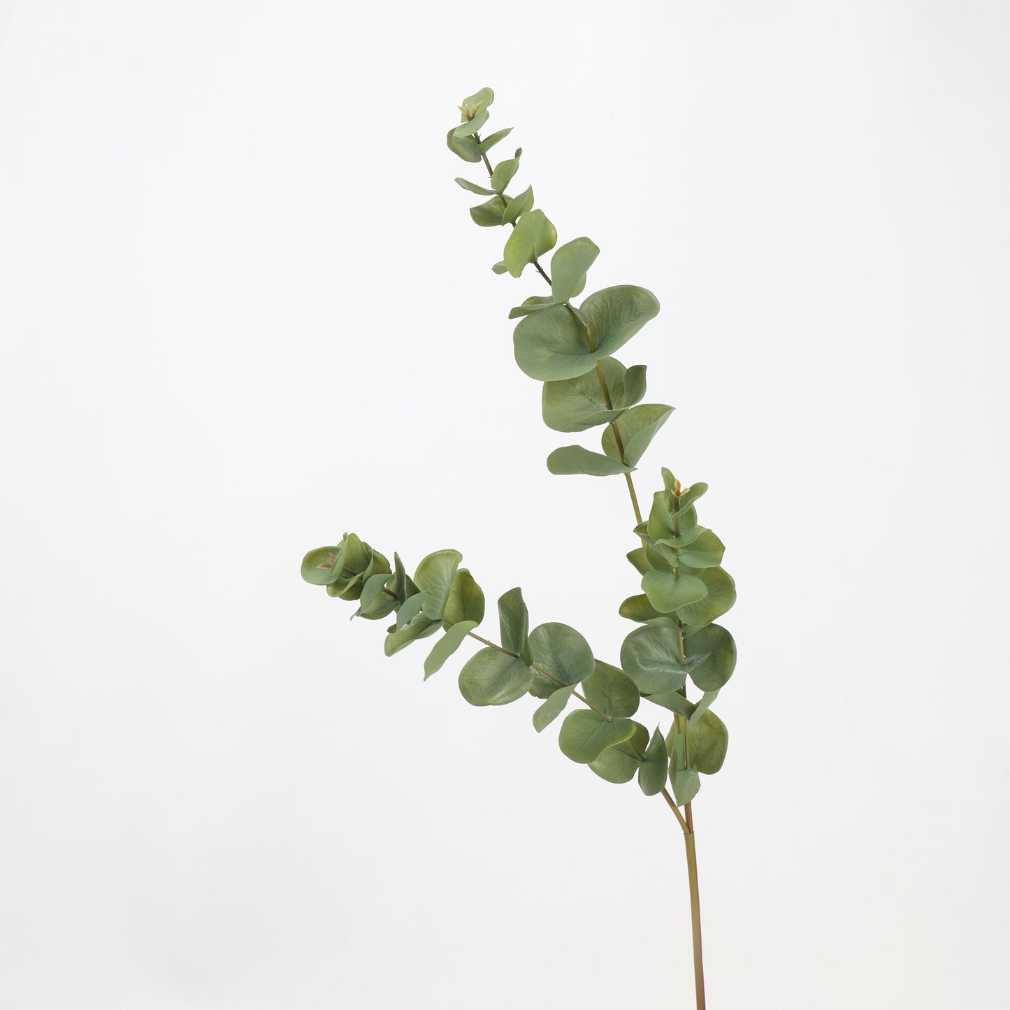 Faux Silver Dollar Eucalyptus Branch Stem — 33"