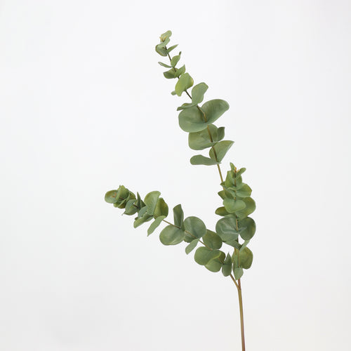 Faux Silver Dollar Eucalyptus Branch Stem — 33"