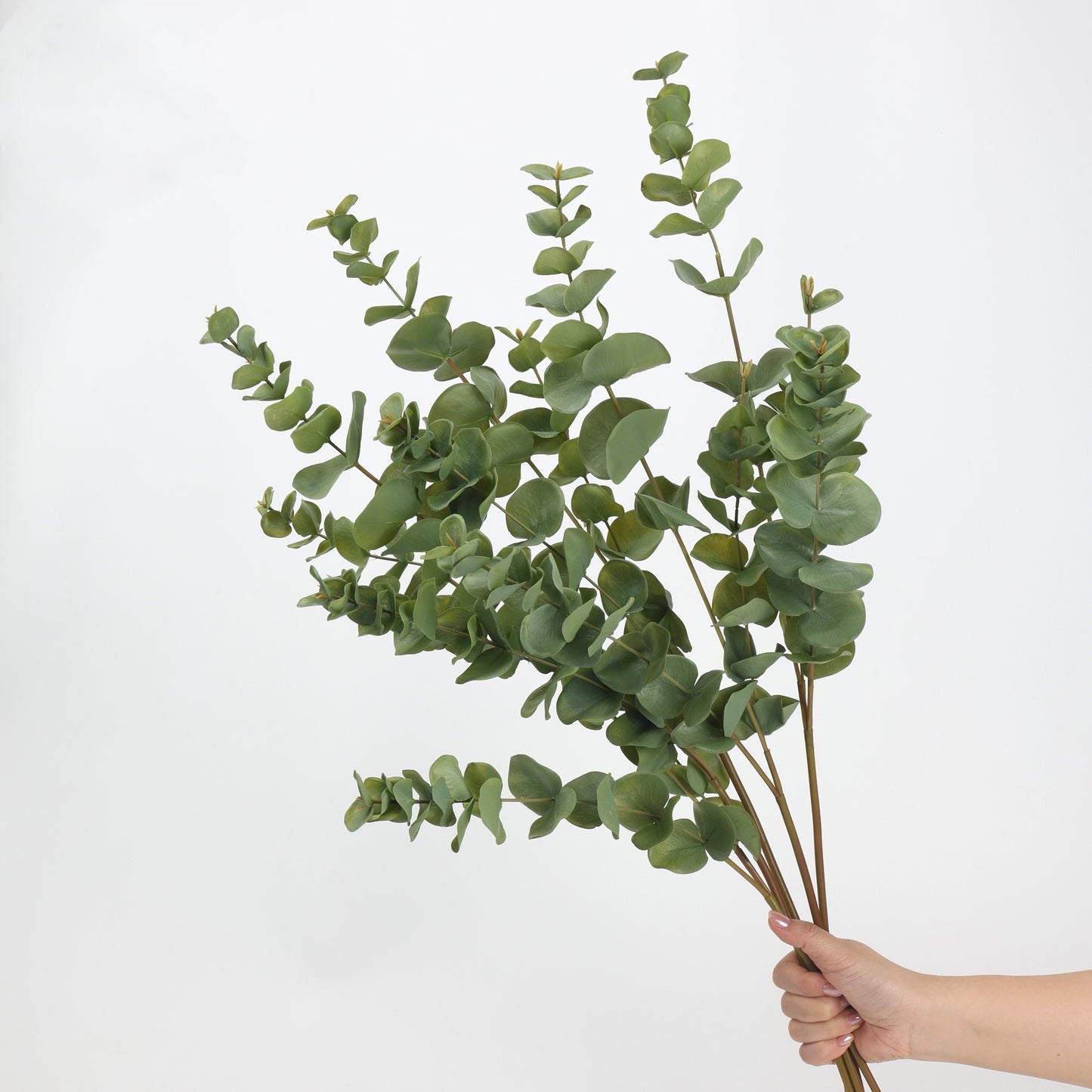 Faux Silver Dollar Eucalyptus Branch Stem — 33"