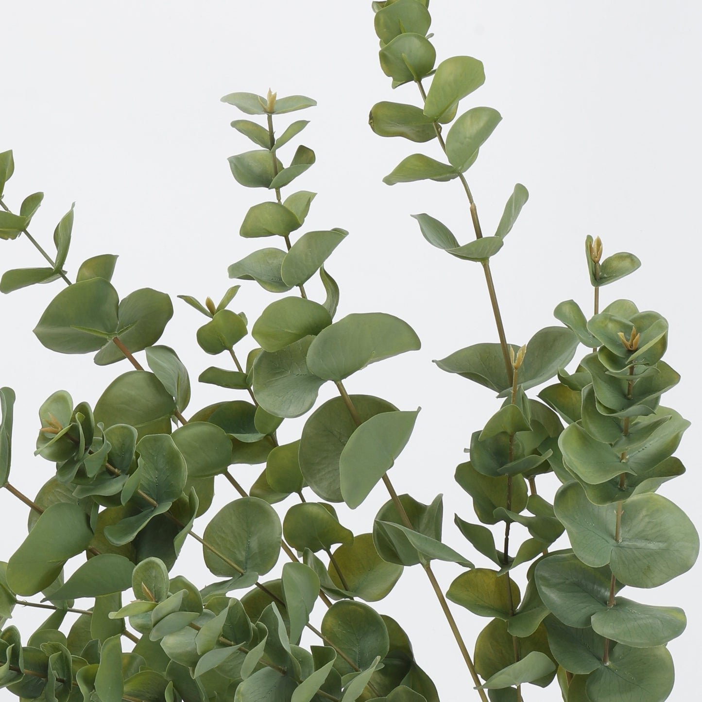 Faux Silver Dollar Eucalyptus Branch Stem — 33"