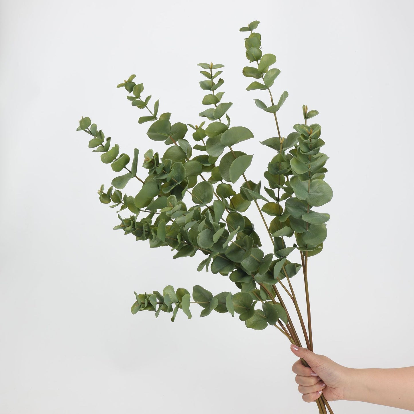 Faux Silver Dollar Eucalyptus Branch Stem — 33"