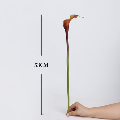 Real Touch Deep Burgundy Calla Lily Stem — 1 Bloom, 21"