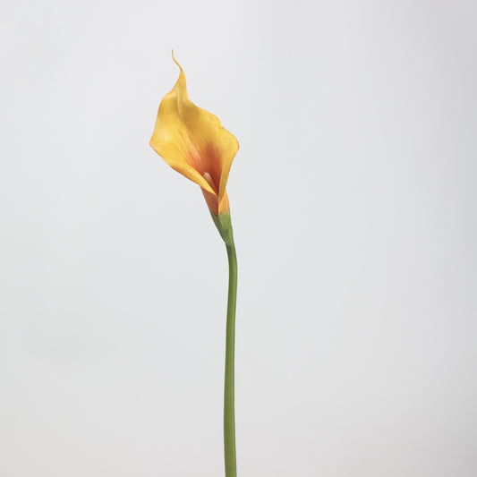 Real Touch Golden Orange Calla Lily Stem — 1 Bloom, 21"