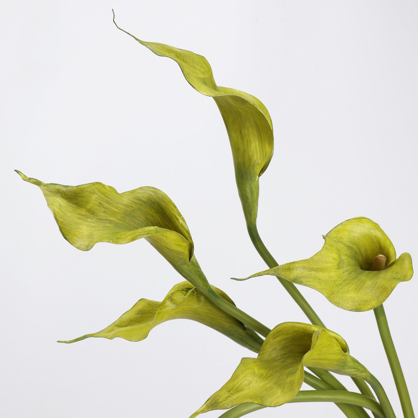 Real Touch Morandi Chartreuse Calla Lily Stem — 1 Bloom, 21"