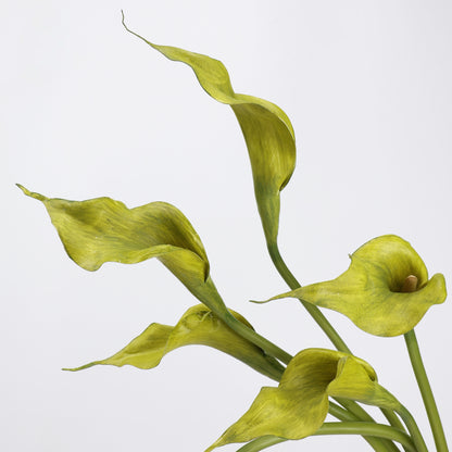 Real Touch Morandi Chartreuse Calla Lily Stem — 1 Bloom, 21"