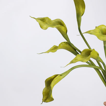 Real Touch Morandi Chartreuse Calla Lily Stem — 1 Bloom, 21"