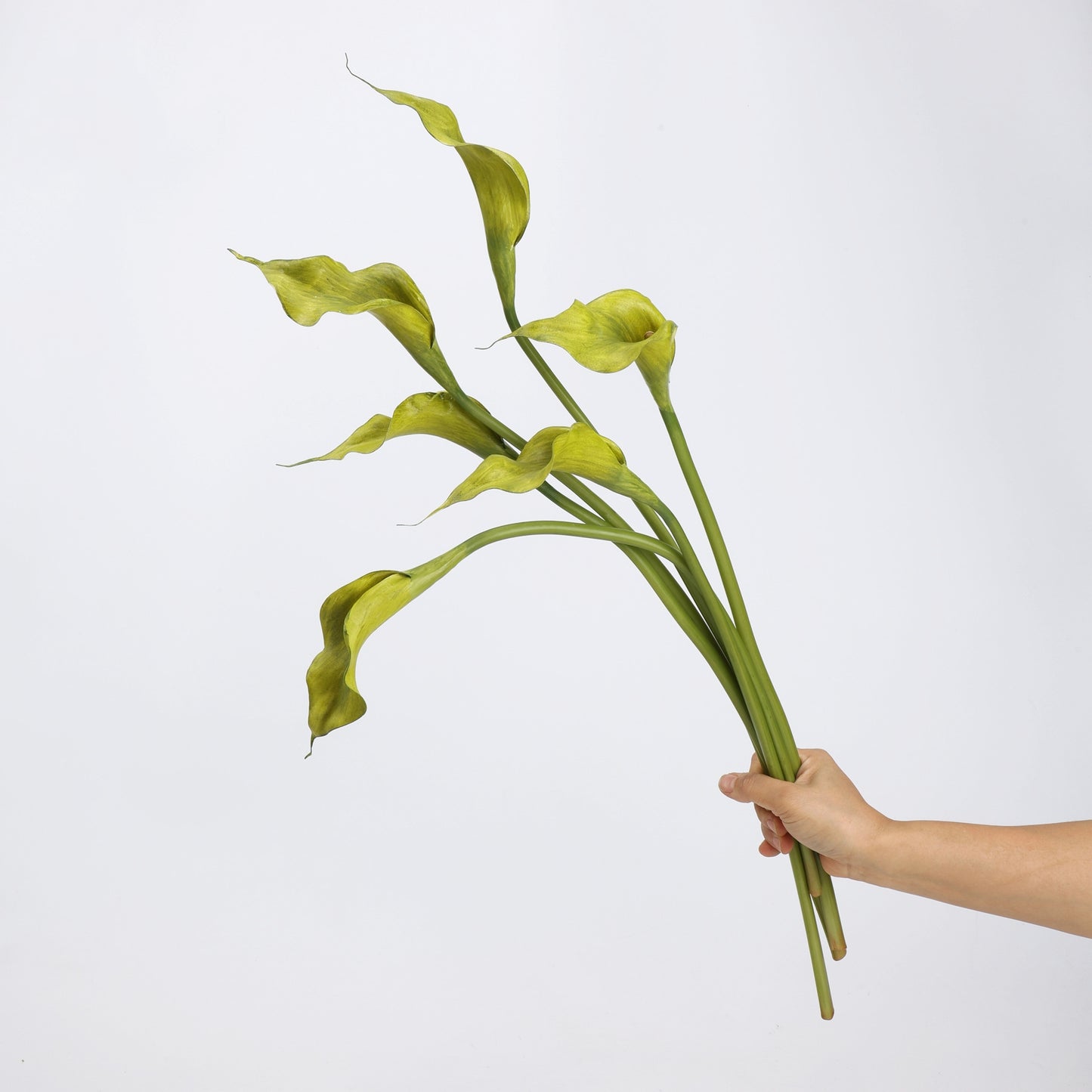 Real Touch Morandi Chartreuse Calla Lily Stem — 1 Bloom, 21"