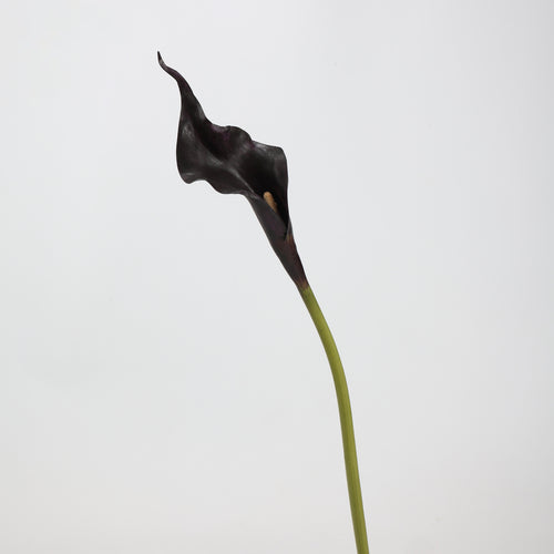 Real Touch Black Calla Lily Stem — 1 Bloom, 21"