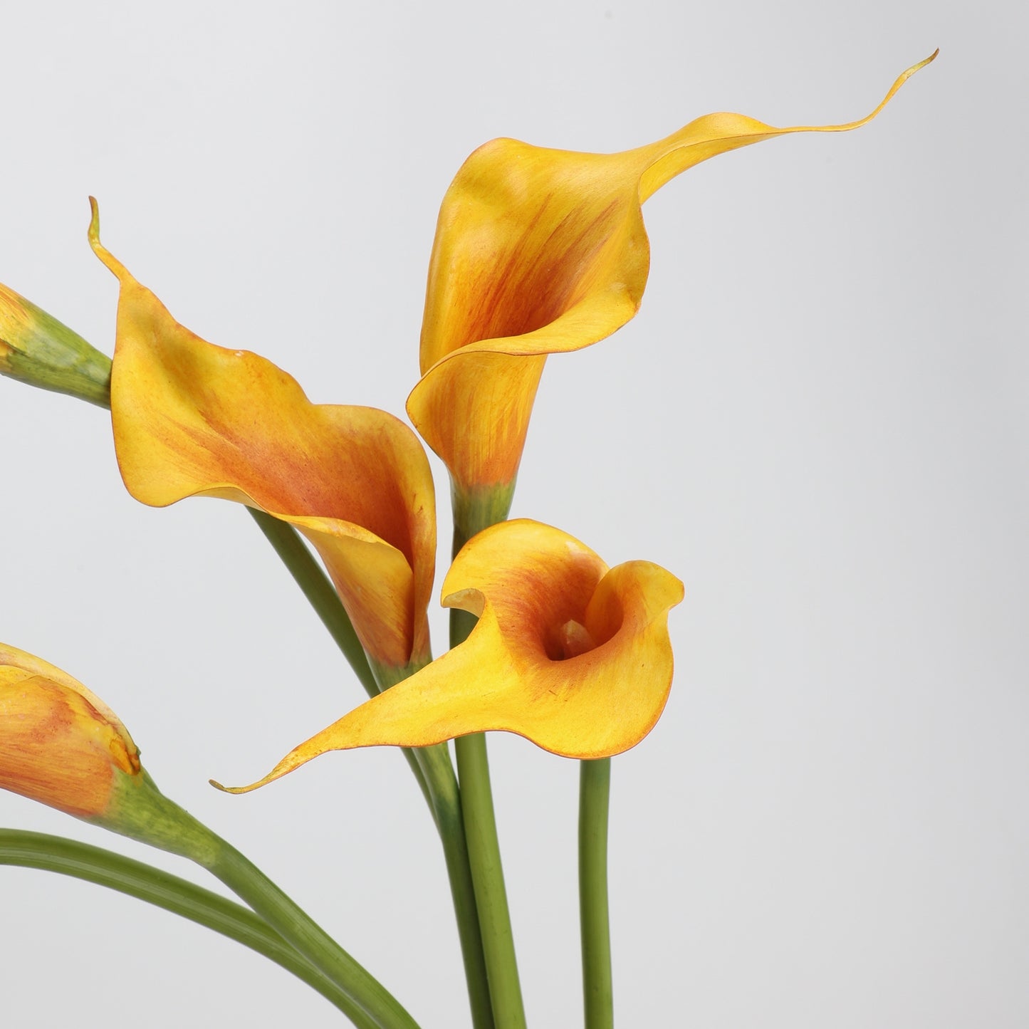 Real Touch Golden Orange Calla Lily Stem — 1 Bloom, 21"