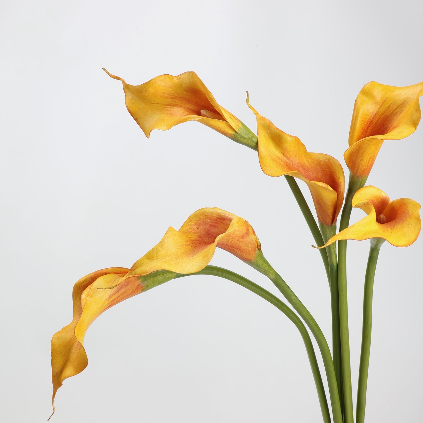 Real Touch Golden Orange Calla Lily Stem — 1 Bloom, 21"