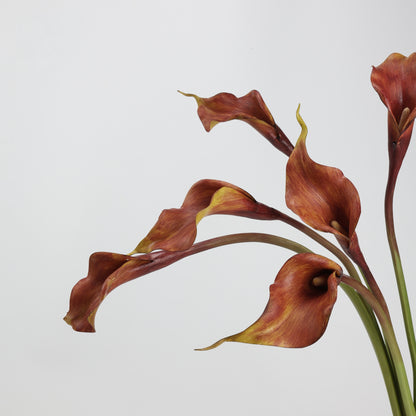 Real Touch Deep Burgundy Calla Lily Stem — 1 Bloom, 21"