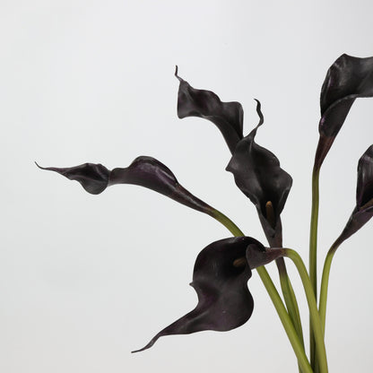 Real Touch Black Calla Lily Stem — 1 Bloom, 21"