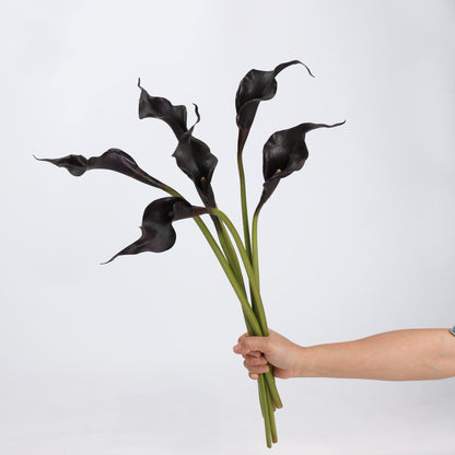 Real Touch Black Calla Lily Stem — 1 Bloom, 21"