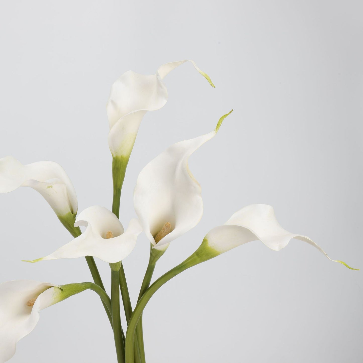 Real Touch Pure White Calla Lily Stem — 1 Bloom, 21"