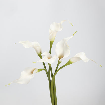 Real Touch Pure White Calla Lily Stem — 1 Bloom, 21"