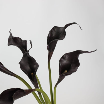 Real Touch Black Calla Lily Stem — 1 Bloom, 21"