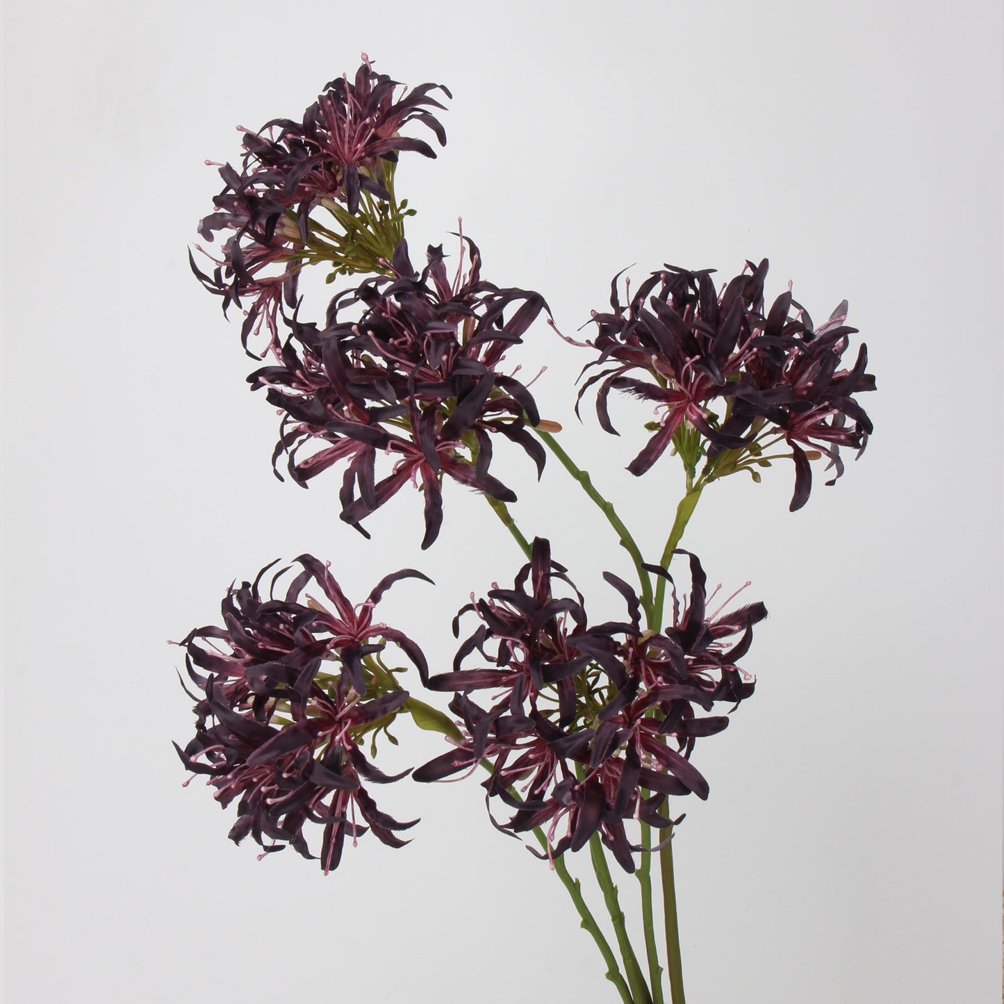 Dark & Moody Real Touch Artificial Flower Stems – PU Faux Flowers | Panthère Rose