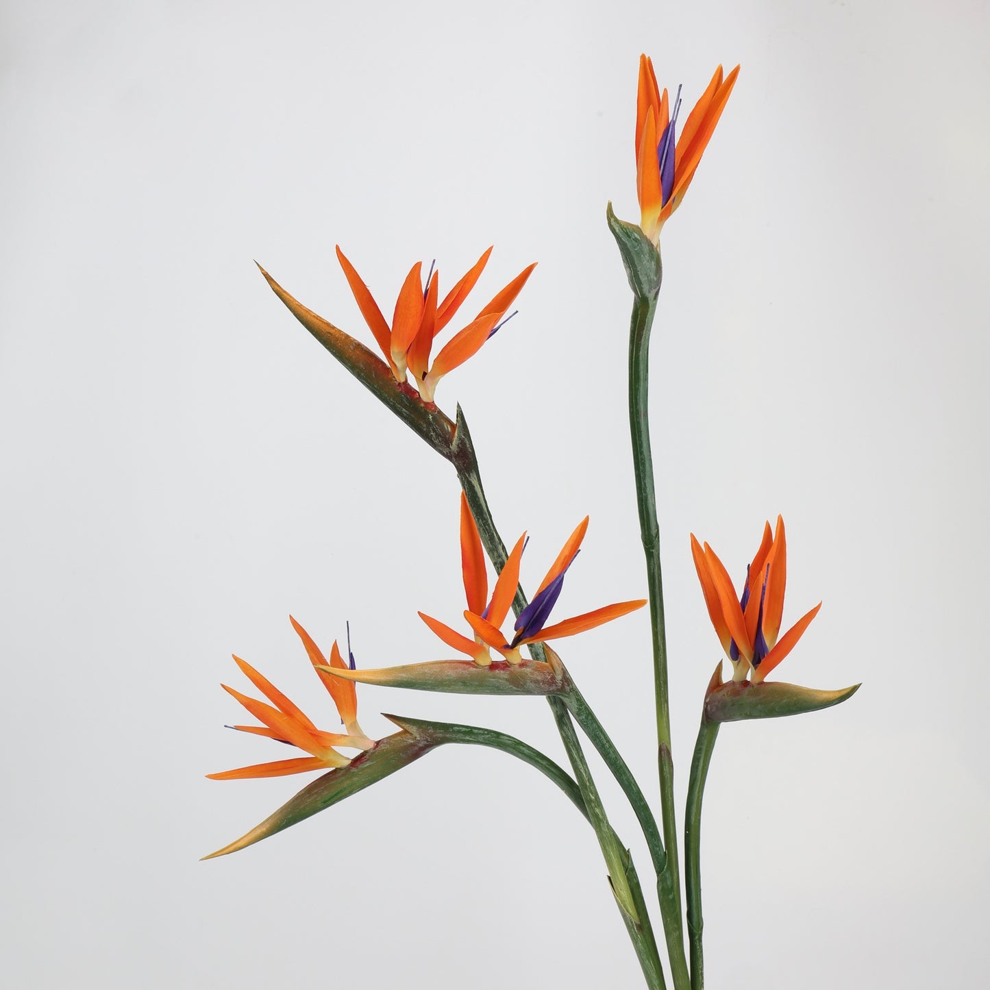 Autumn & Terracotta Real Touch Artificial Flower Stems – PU Faux Flowers | Panthère Rose