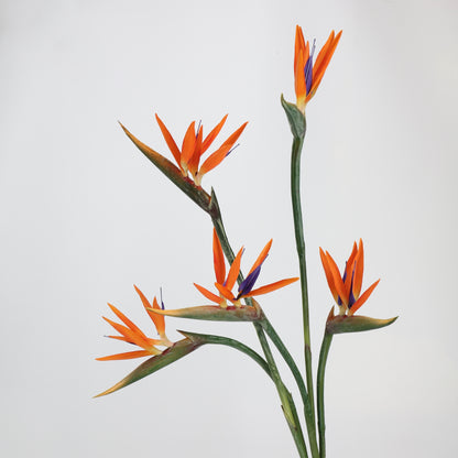 Autumn & Terracotta Real Touch Artificial Flower Stems – PU Faux Flowers | Panthère Rose