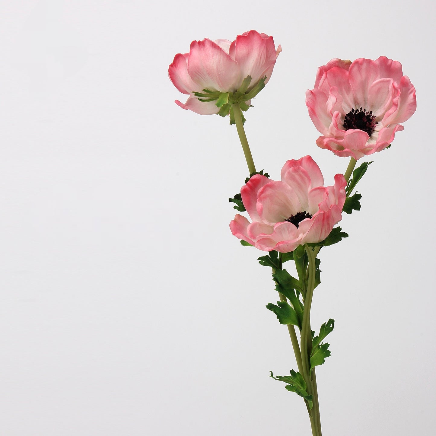 Pink & Blush Real Touch Artificial Flower Stems – PU Faux Flowers | Panthère Rose