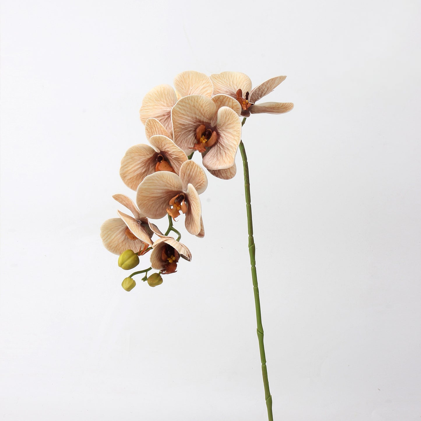 Mocha & Nude Real Touch Artificial Flower Stems – PU Faux Flowers | Panthère Rose