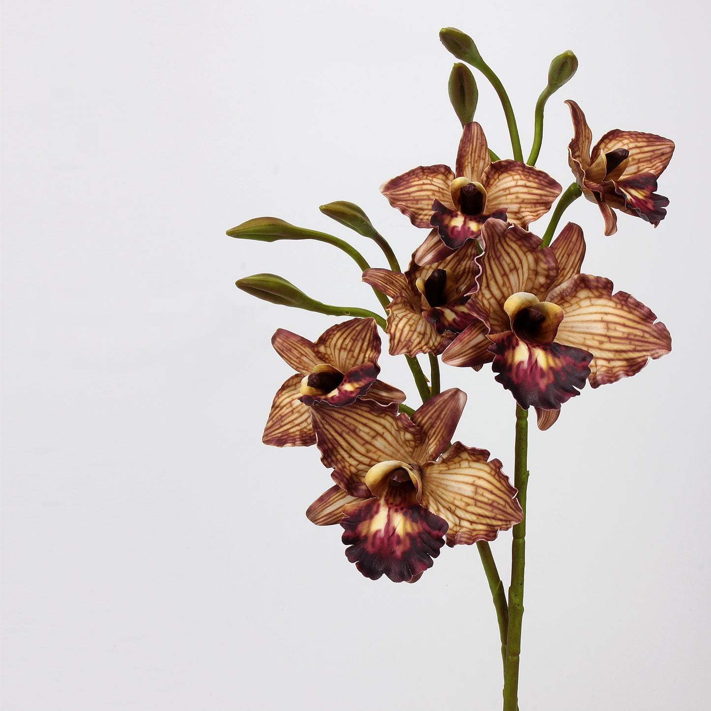 Mocha & Nude Real Touch Artificial Flower Stems – PU Faux Flowers | Panthère Rose