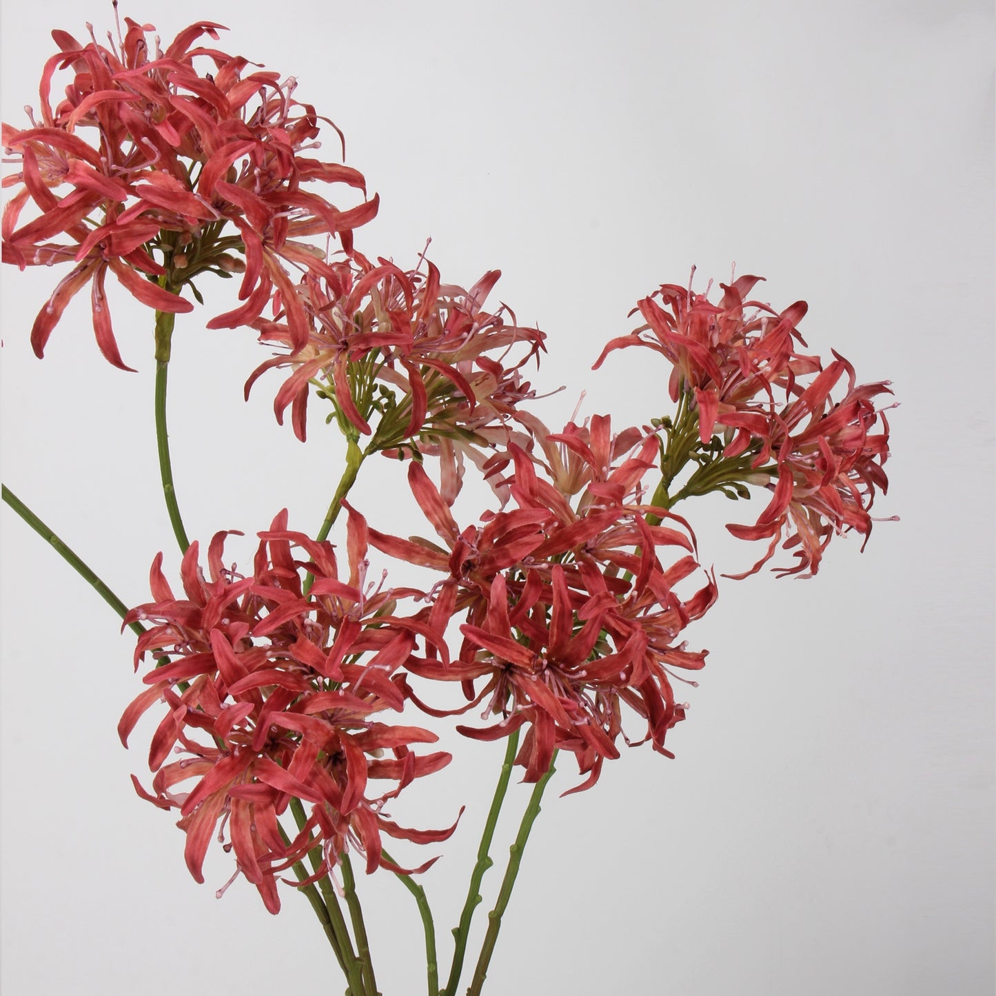 Red & Burgundy Real Touch Artificial Flower Stems – PU Faux Flowers | Panthère Rose