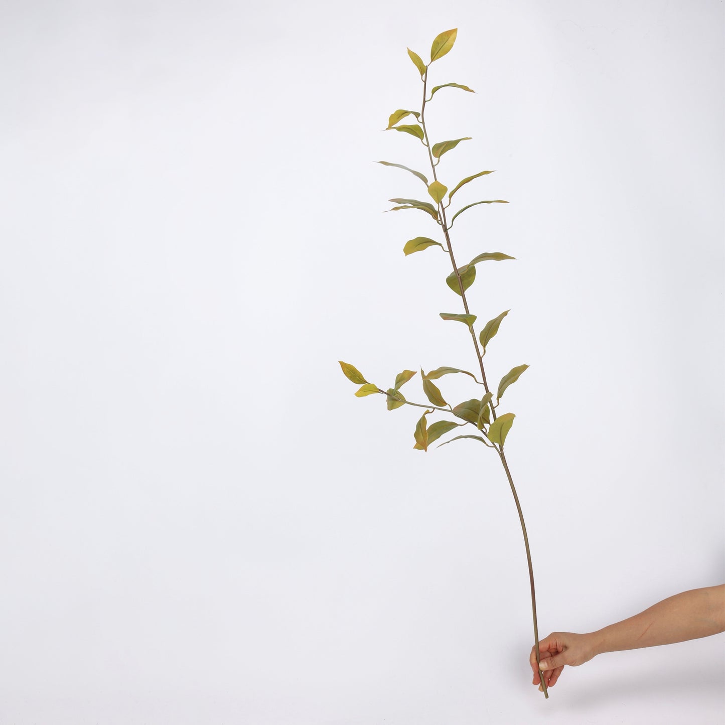 Faux Olive Green Ficus Leaf Branch Stem — 44"