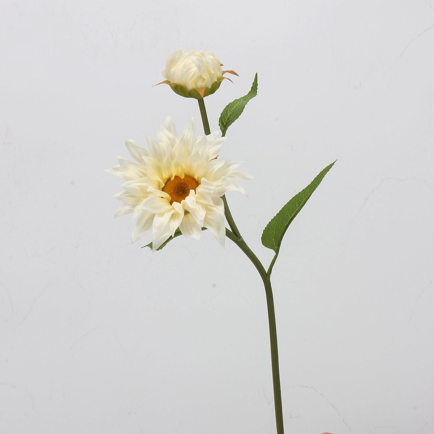 Real Touch Cream White Sunflower Dahlia Stem — 2 Blooms
