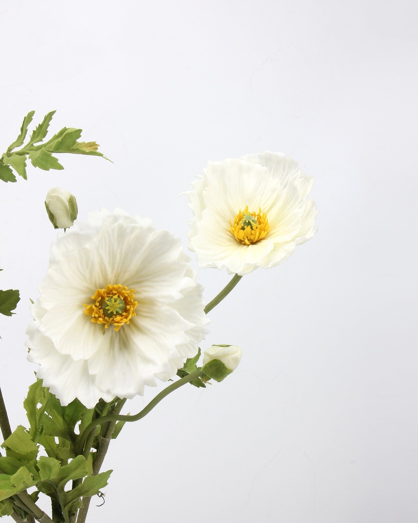 Real Touch Cream White Poppy Stem — 2 Blooms
