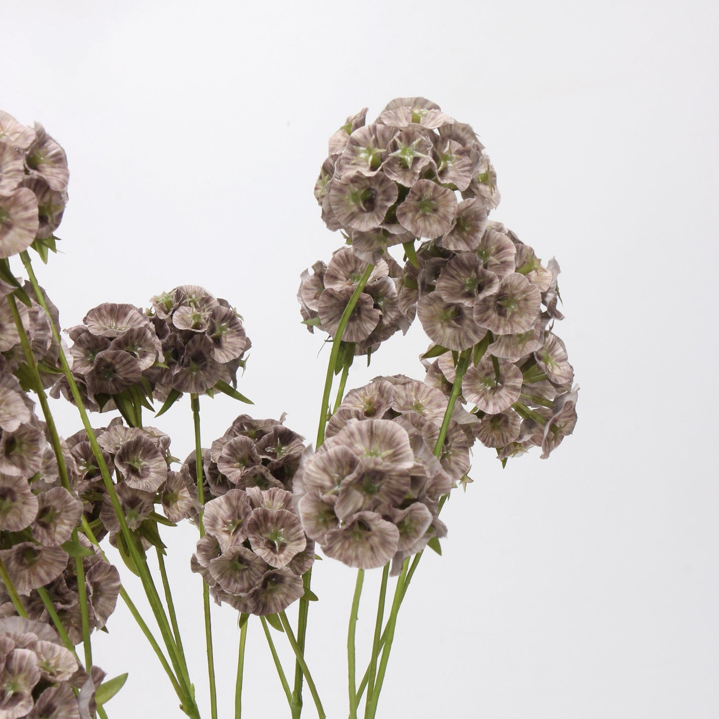 Faux Mocha Grey Ball Dianthus Stem — 6 Heads