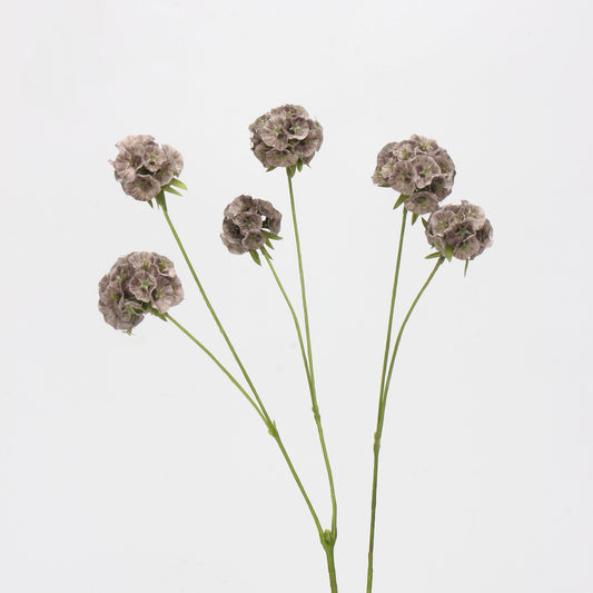 Faux Mocha Grey Ball Dianthus Stem — 6 Heads