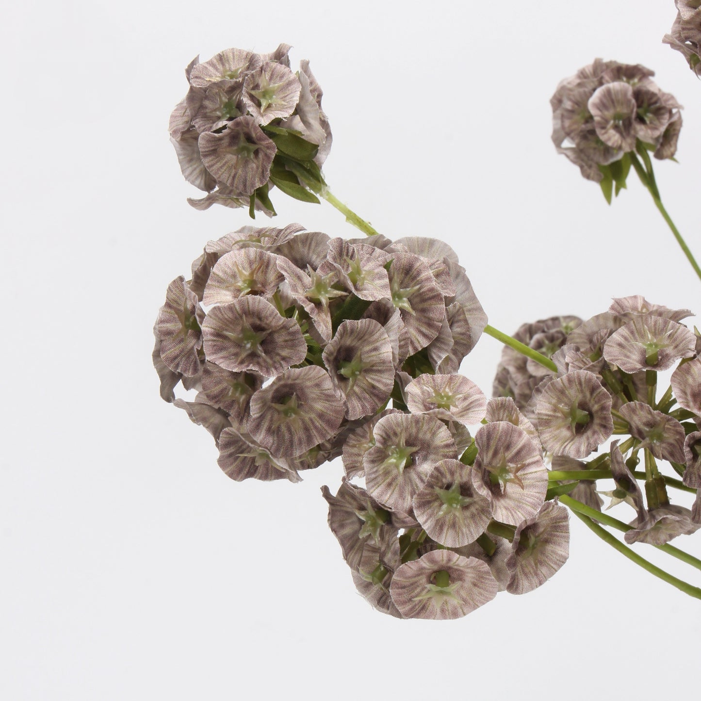 Faux Mocha Grey Ball Dianthus Stem — 6 Heads