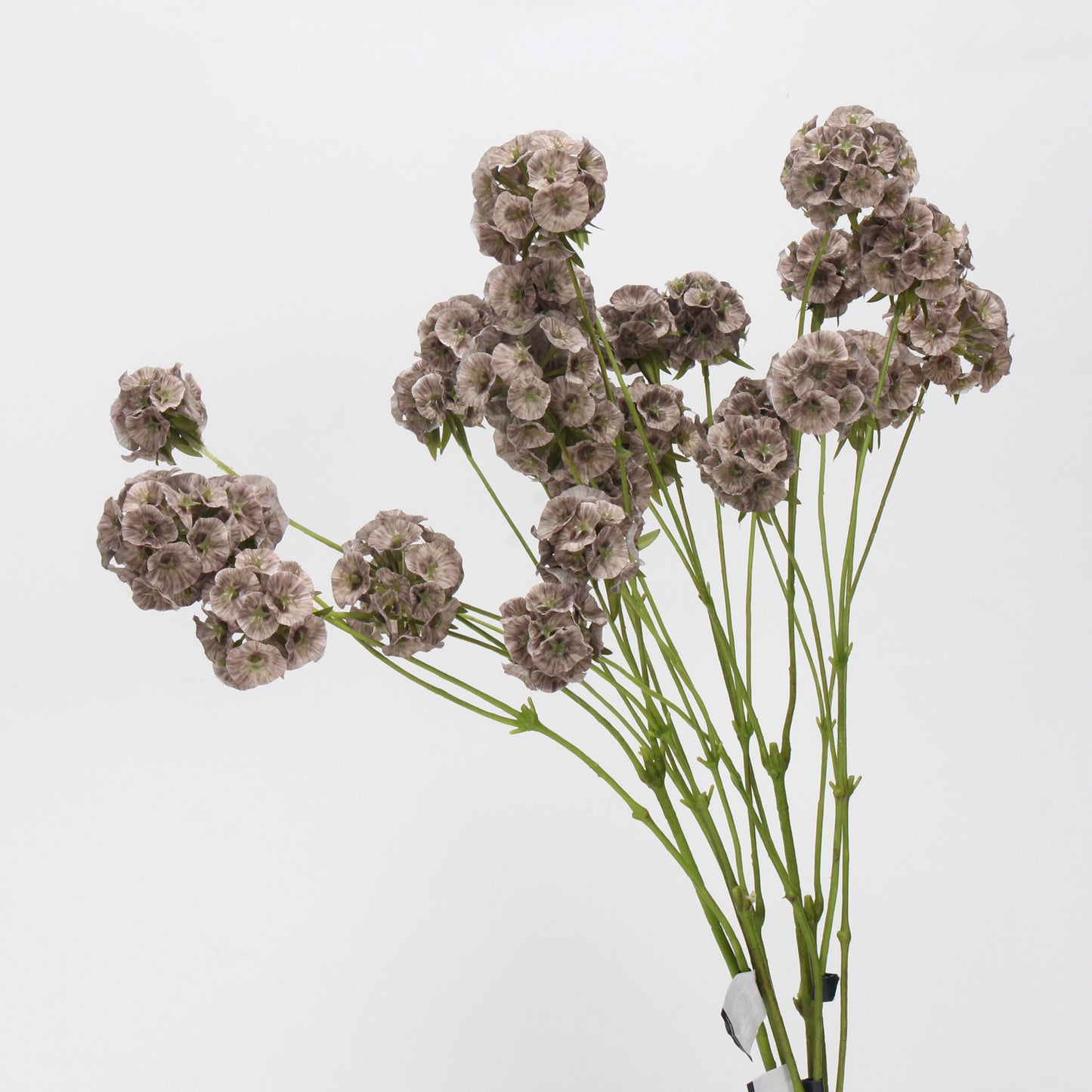 Faux Mocha Grey Ball Dianthus Stem — 6 Heads