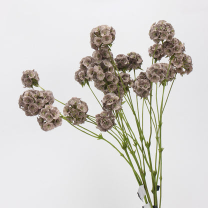 Faux Mocha Grey Ball Dianthus Stem — 6 Heads