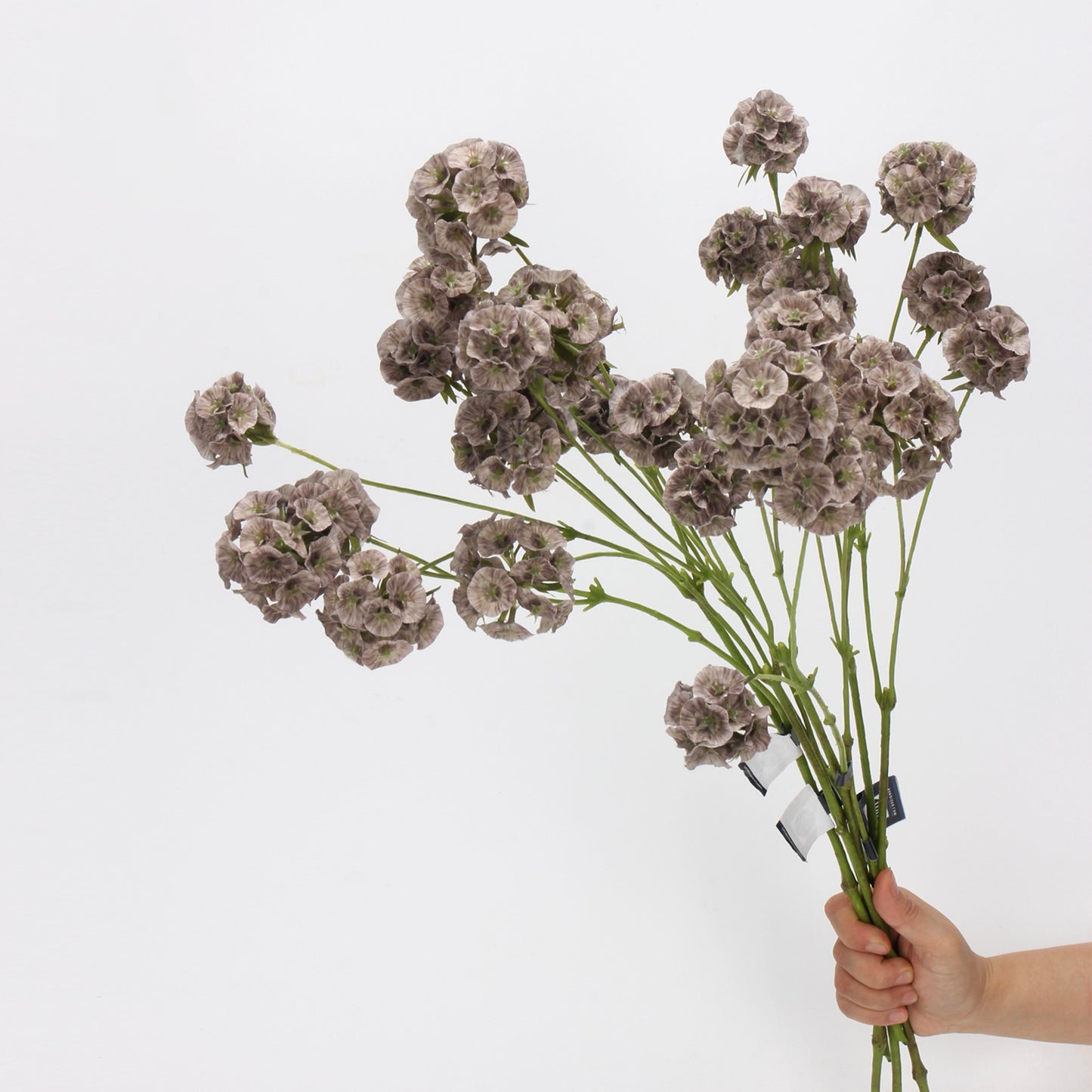 Faux Mocha Grey Ball Dianthus Stem — 6 Heads