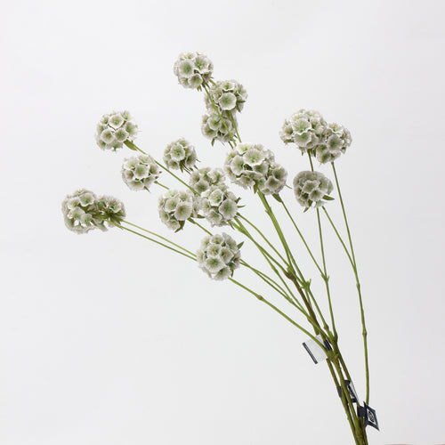 Faux Sage Green Ball Dianthus Stem — 6 Heads