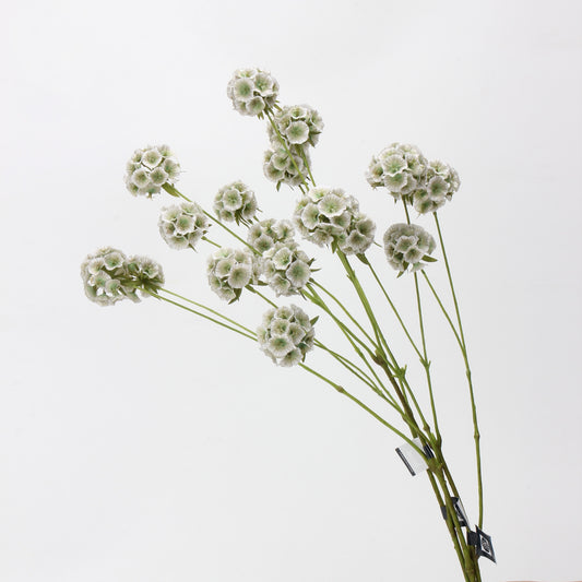 Faux Sage Green Ball Dianthus Stem — 6 Heads