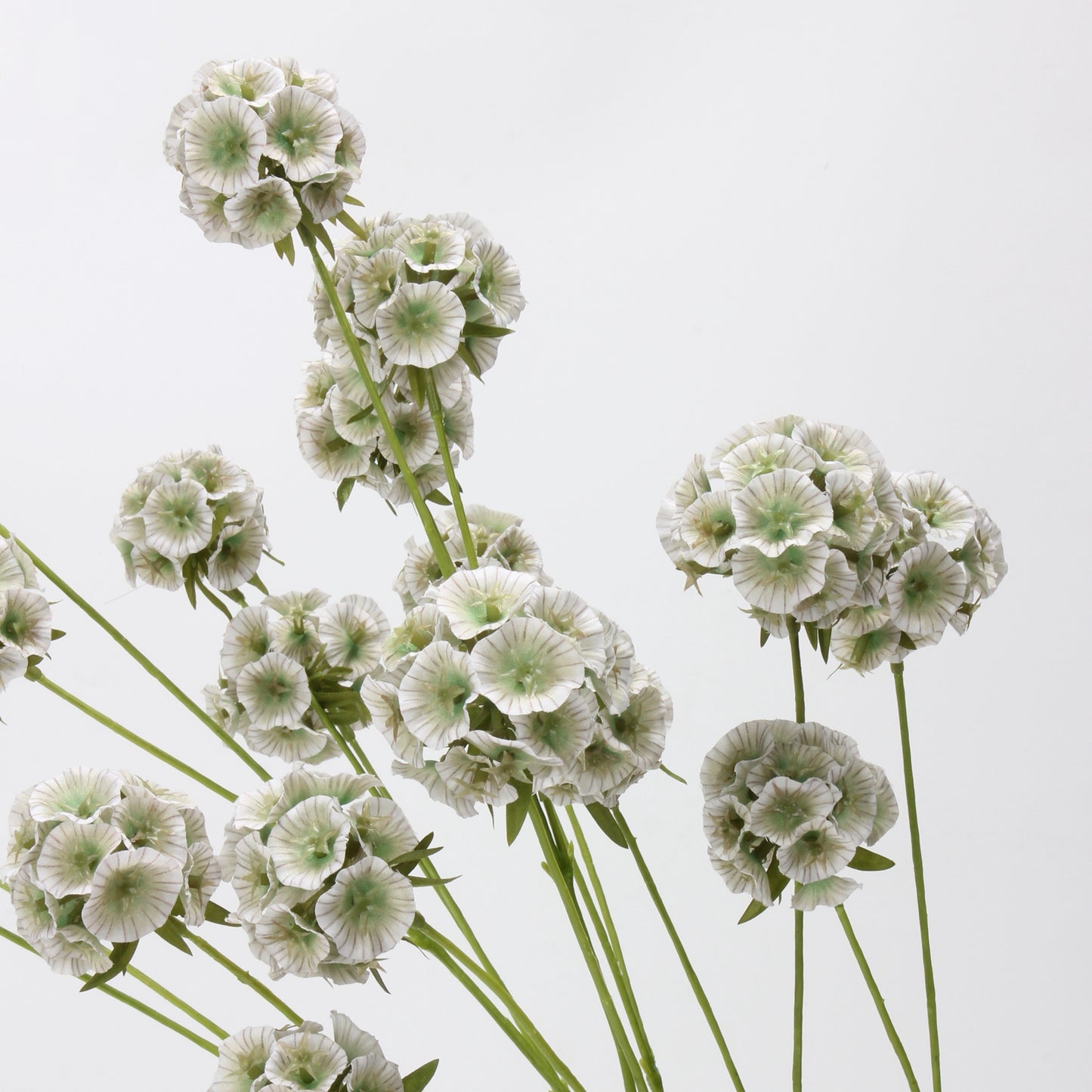 Faux Sage Green Ball Dianthus Stem — 6 Heads